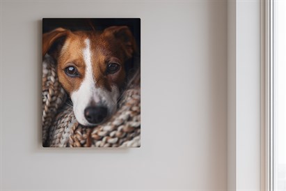 Mājdzīvnieku fotosesija ar mīluļa portretu uz kanvas