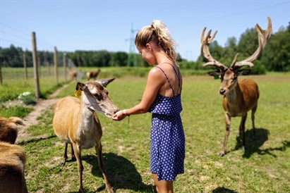 Briežu dārza “Dobelnieki” ģimenes apmeklējums