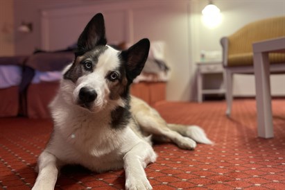 Atpūta diviem "Europa Royale Druskininkai"