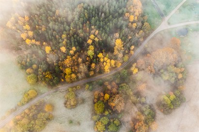 Privāts lidojums gaisa balonā kompānijai līdz 4 personām