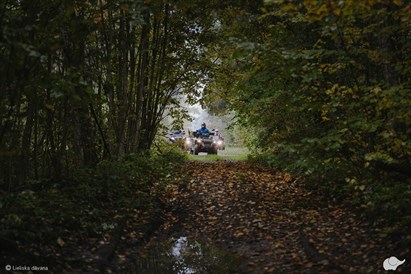 [Tikai ar piegādi] Ekskursija ar kvadracikliem “Meža ezeru tūre”