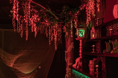 Bērnu ballīte ar kvestu “Hobbits”, animatoru un svinībām “Elfu meža” banketu zālē