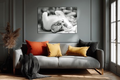 Mājdzīvnieku fotosesija ar mīluļa portretu uz kanvas