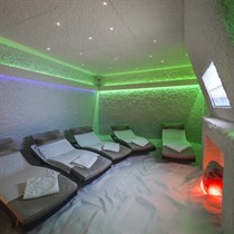 Sāls istabas un Wellness centra apmeklējums