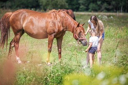 Izjāde ģimenei zirgu sētā Ķekavā