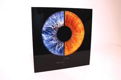 Acu foto glezna ar statīvu fotostudijā „True Eye”