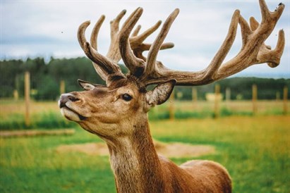 Briežu dārza “Dobelnieki” ģimenes apmeklējums