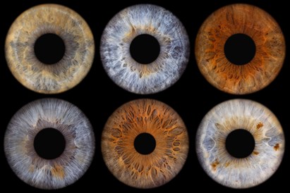 Fotostudijas "Vii Eye" dāvanu karte