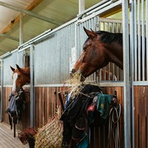 Ekskursija “Jauno jātnieku skolā” Inčukalnā un izjāde 4 personām