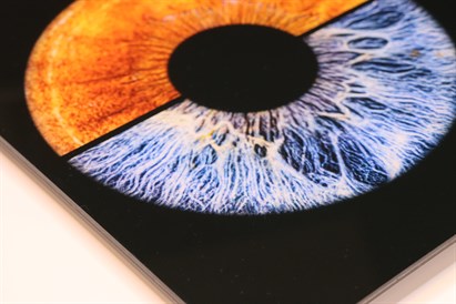 Acu glezna uz organiskā stikla fotostudijā „True Eye”