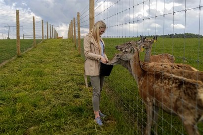 Pāru atpūta un briežu barošana “Dobelniekos”  