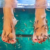 Kopīgs zivtiņu SPA piedzīvojums un pēdu masāža