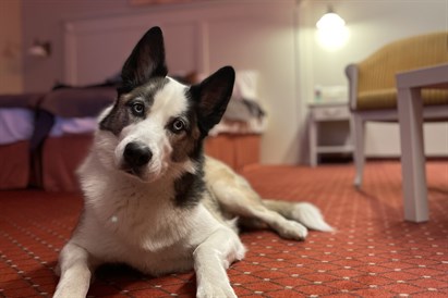 Atpūta divatā viesnīcā "Europa Royale Druskininkai"