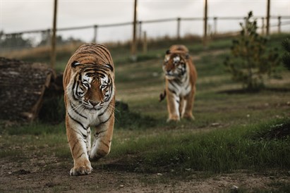 „SIGULDA ZOO” apmeklējums