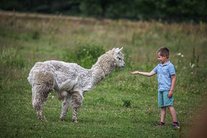 Izjāde ģimenei zirgu sētā Ķekavā