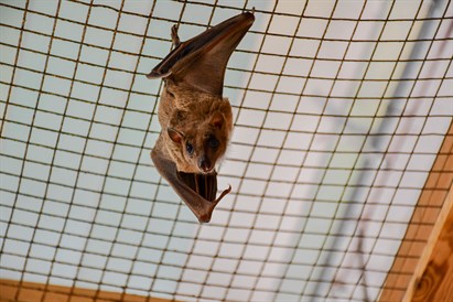Zooloģiskā dārza „ZOOPARK.LT” apmeklējums Kauņā 