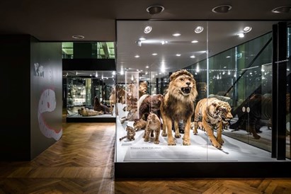 “V Spa Hotel” dāvanu karte – Labākā atpūta Tartu