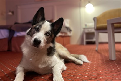 Dāvanu karte atpūtai viesnīcā "Europa Royale Druskininkai"