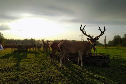 Briežu dārza “Dobelnieki” ģimenes apmeklējums