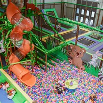 “Brīnumu meža” VIP biļete 