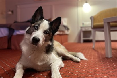 SPA brīvdienas divatā “Europa Royale Druskininkai”