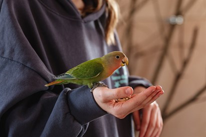 “Sigulda ZOO” apmeklējums ar viesošanos papagaiļu mājā