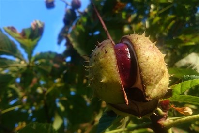 Laivu brauciens pa Misu 10 personām – no Dalbes līdz Ozolniekiem