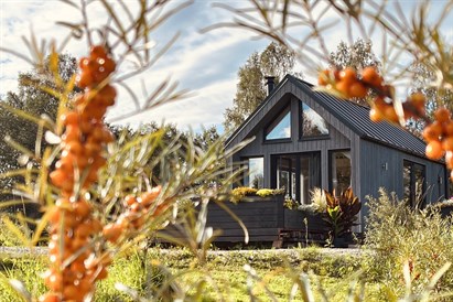 Atpūta draugu kompānijai Smiltsērkšķu namiņā