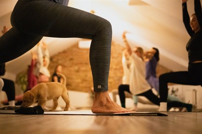 Draudzeņu randiņš ar kucēniem – kucēnu joga Rīgā