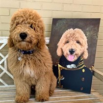 Īpaša dāvana dzīvnieku mīļotājiem – mājdzīvnieka portrets uz audekla