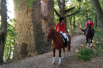 “Happy Hobby Horses” dāvanu karte – Zirgu izjādes un atpūta Jumpravmuižā