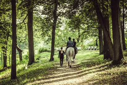 “Happy Hobby Horses” dāvanu karte – Zirgu izjādes un atpūta Jumpravmuižā