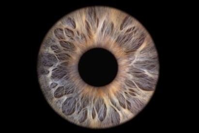 Acu foto glezna uz statīva ViiEye studijā