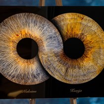 Jūsu dvēseles spogulis – “True Eye” acu foto glezna pārim
