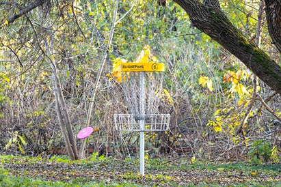 “UFOGOLF” disku golfa ballīte 10 personām