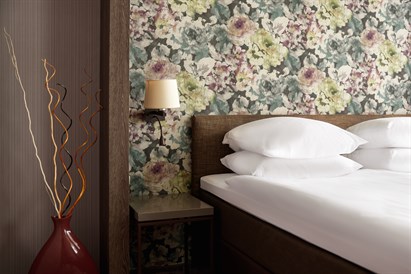 1 nakts atpūta Druskininkos ar vakariņām