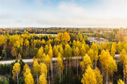 Lielisks lidojums gaisa balonā 2 personām