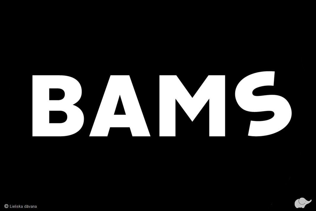 BAMS dāvanu karte aktīvai atpūtai un izklaidei Rīgas centrā