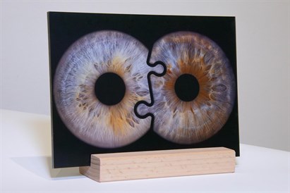 Acu foto glezna uz statīva ViiEye studijā