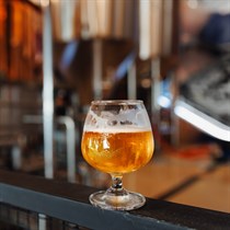 Alus kultūra Rundālē: muzejs, darītava un degustācija