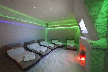 Sāls istabas un Wellness centra apmeklējums