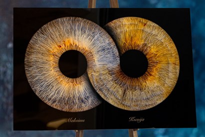 Jūsu dvēseles spogulis – “True Eye” acu foto glezna pārim