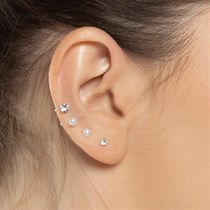 Ausu caurduršana salonā "Samana" Vecrīgā