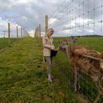Pāru atpūta un briežu barošana “Dobelniekos”  