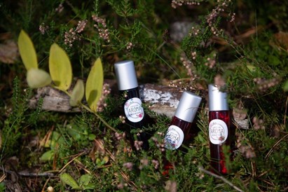 “Latvian Aroma-Essence” meistarklase grupām – Dabas noslēpumi ekskluzīvās smaržās