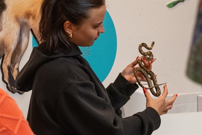 “Zvērīgi seksīgi” – vecmeitu vai vecpuišu viesošanās Rīga ZOO