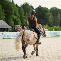 Īpaša iepazīšanās ar poniju vai zirgu