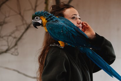 “Sigulda ZOO” apmeklējums ar viesošanos papagaiļu mājā