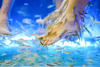 Greipfrūta SPA rituāls un Garra Rufa zivtiņas diviem "Aqua Villa SPA" 