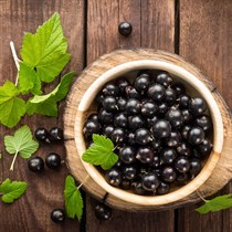 VASARAS PIEDĀVĀJUMS | C vitamīns visam ķermenim - Upeņu SPA